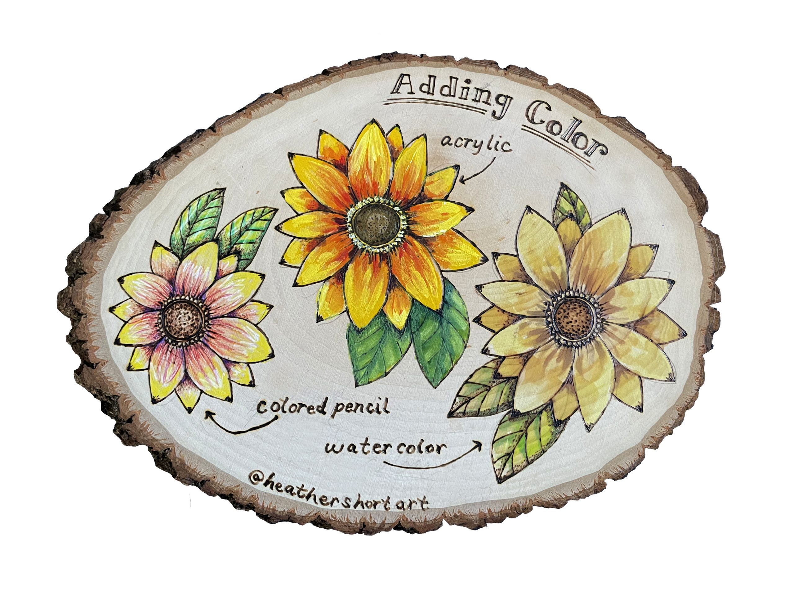 Wood Burning Pen, Patterns, Color Pencils & Instructions Beginner